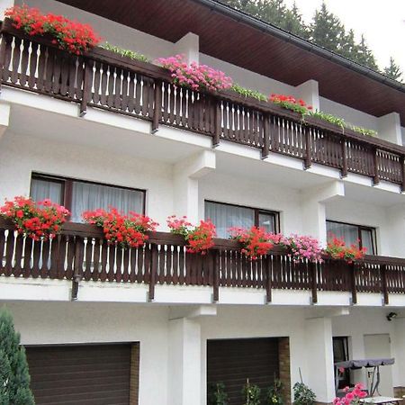Pension Zum Ritter Katzhutte Экстерьер фото