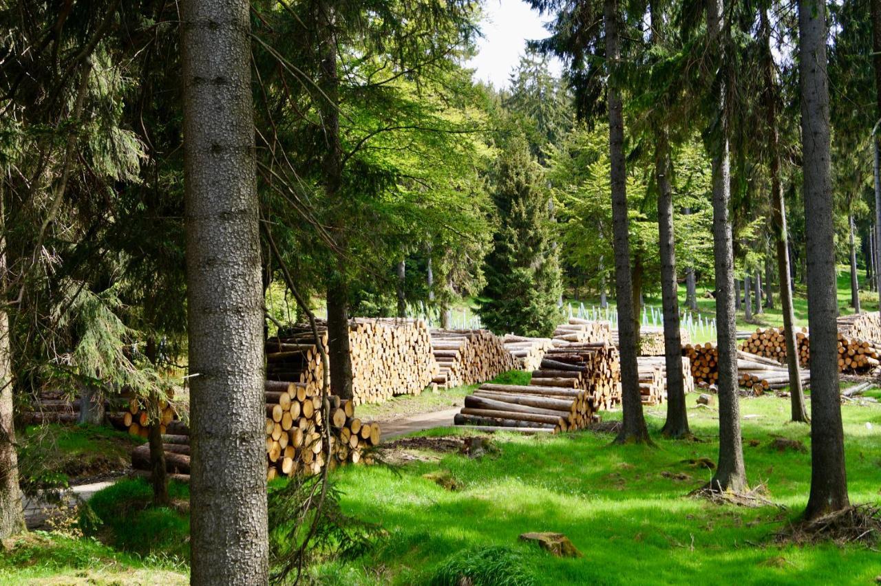 Pension Zum Ritter Katzhutte Экстерьер фото