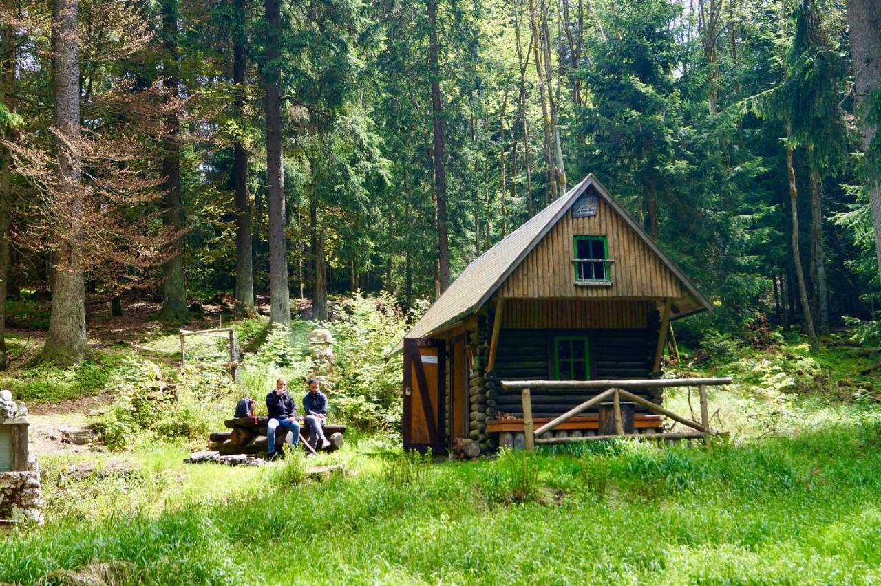 Pension Zum Ritter Katzhutte Экстерьер фото