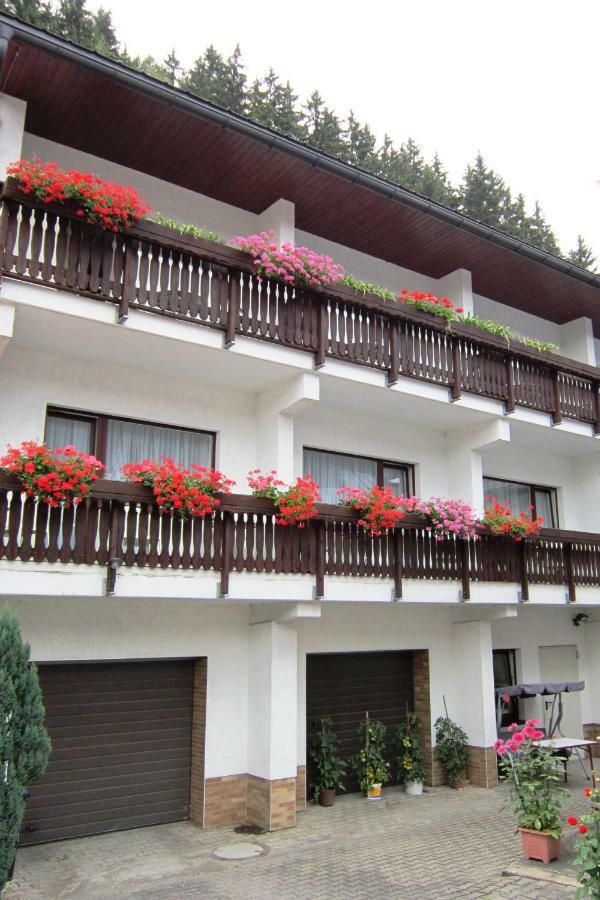 Pension Zum Ritter Katzhutte Экстерьер фото