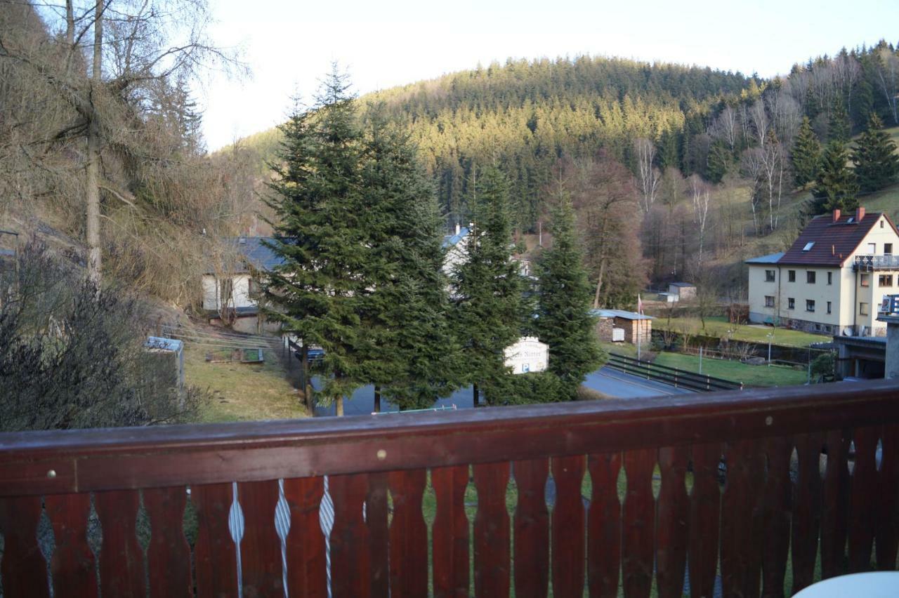 Pension Zum Ritter Katzhutte Экстерьер фото