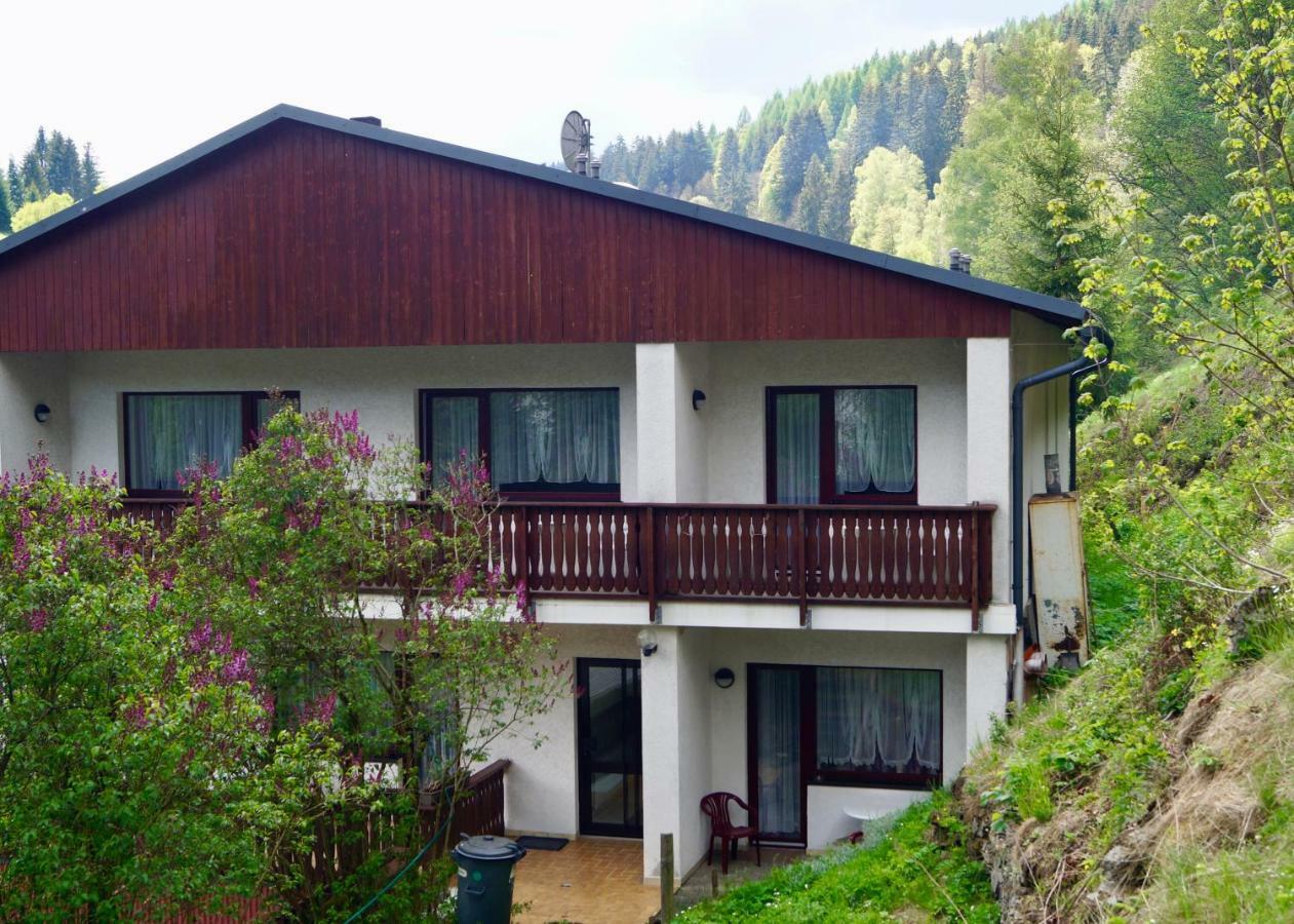 Pension Zum Ritter Katzhutte Экстерьер фото